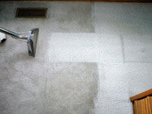Carpet being cleaned.